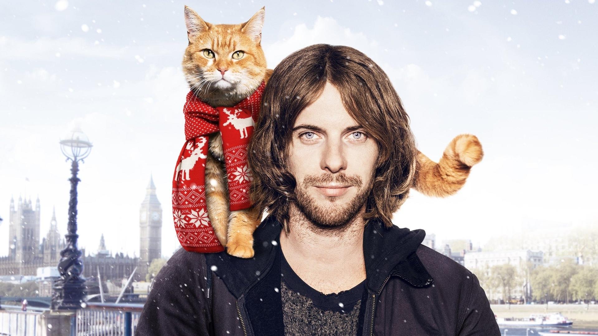 A Street Cat Named Bob