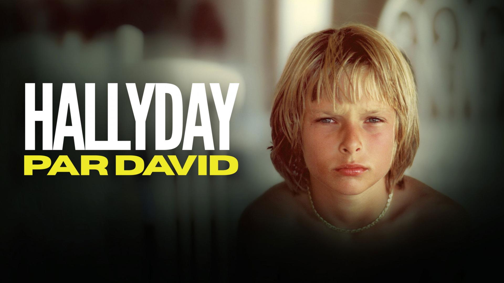 Hallyday par David
