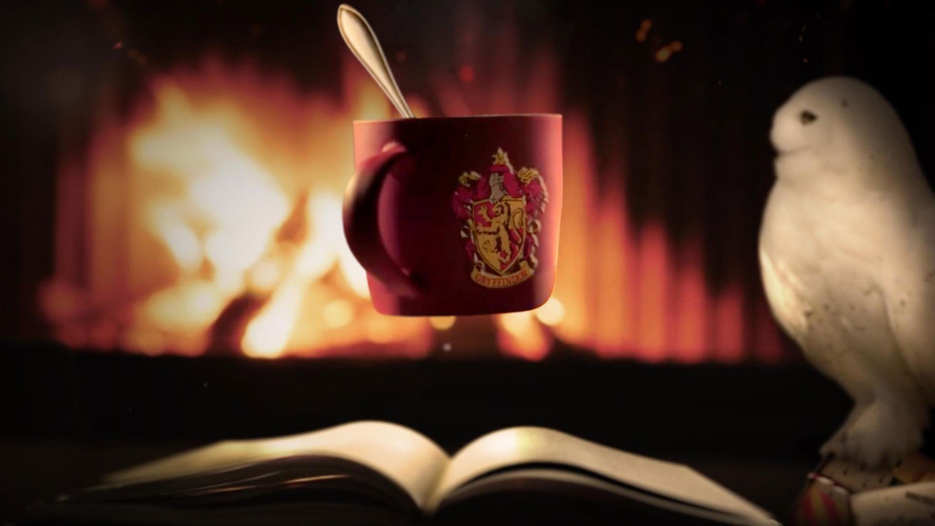 Harry Potter: Fireplace