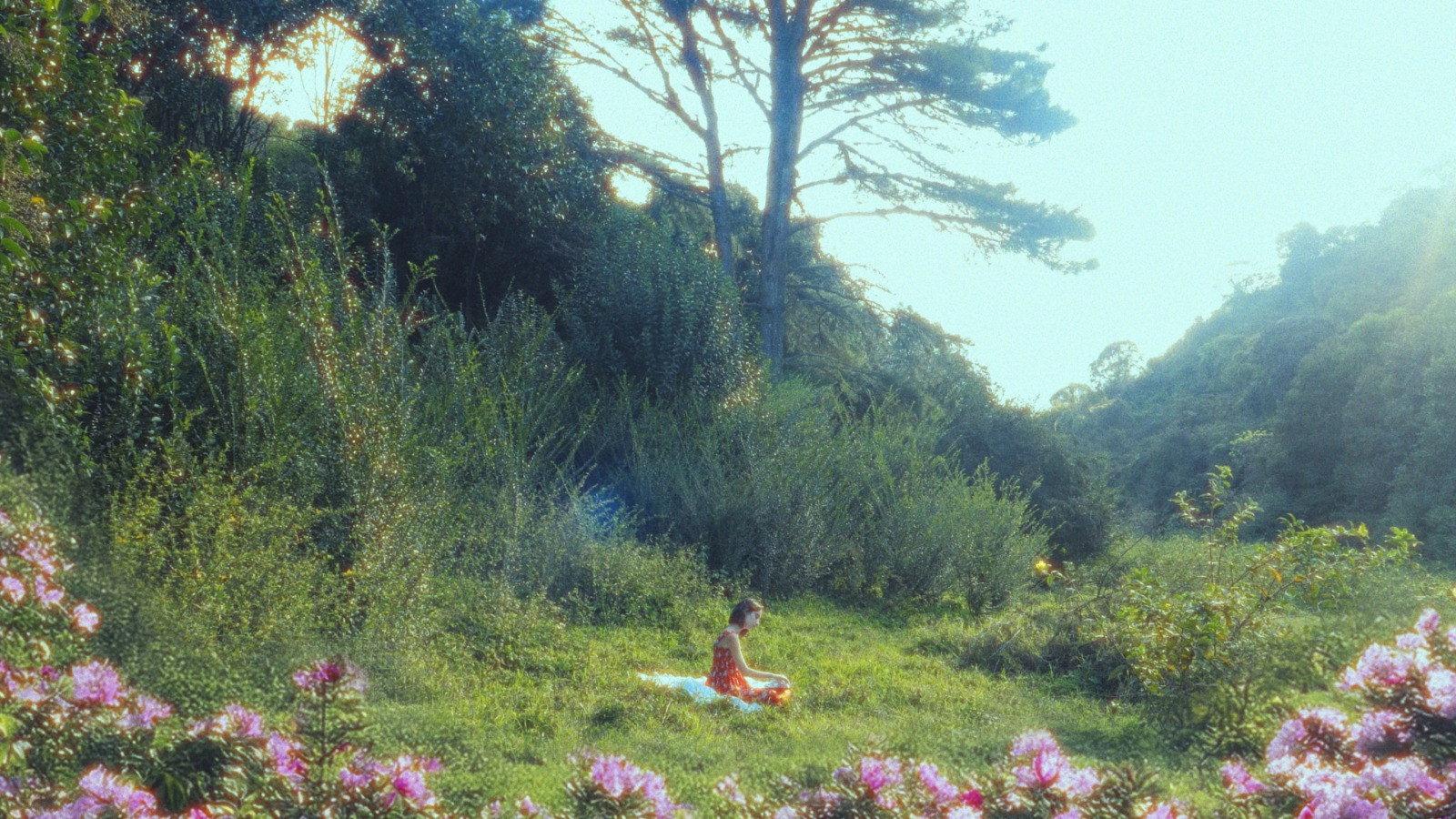 Mi Jardín