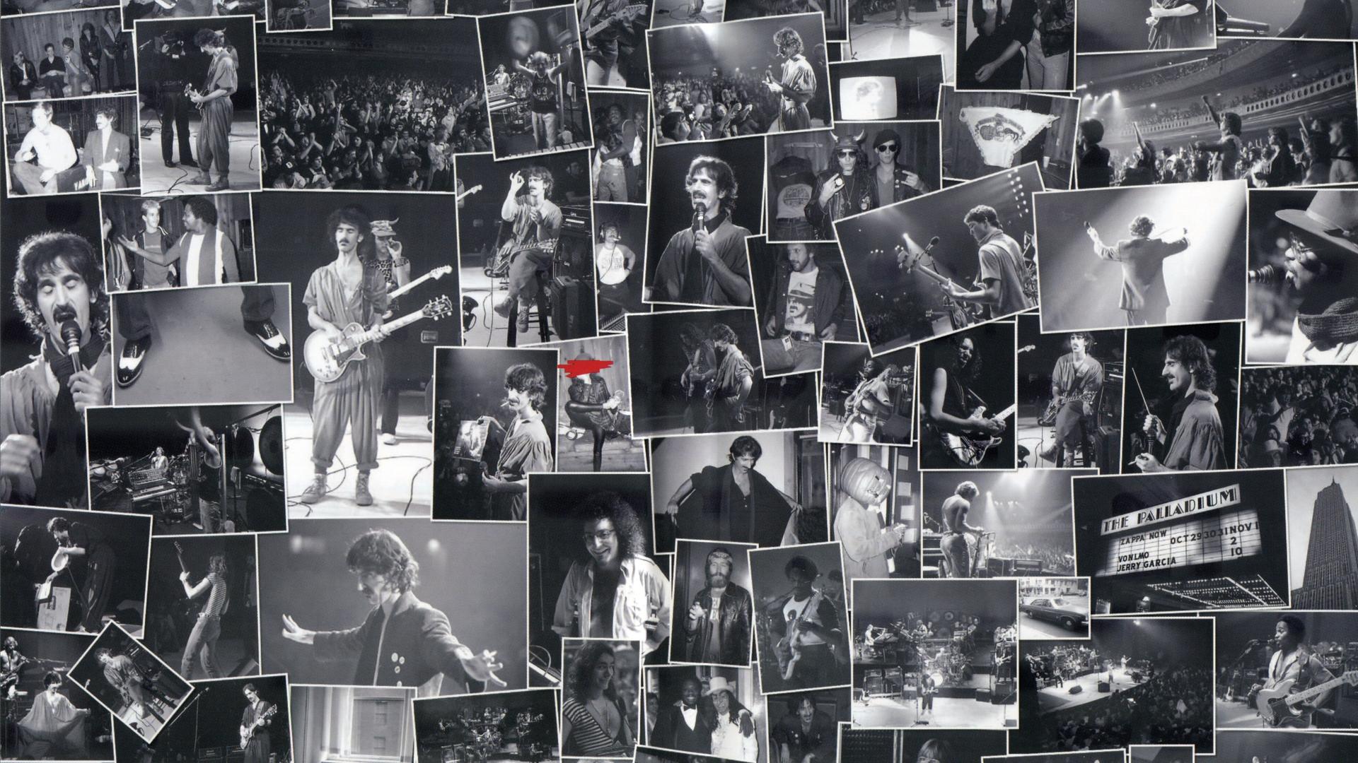 An Evening with Frank Zappa During Which... The Torture Never Stops
