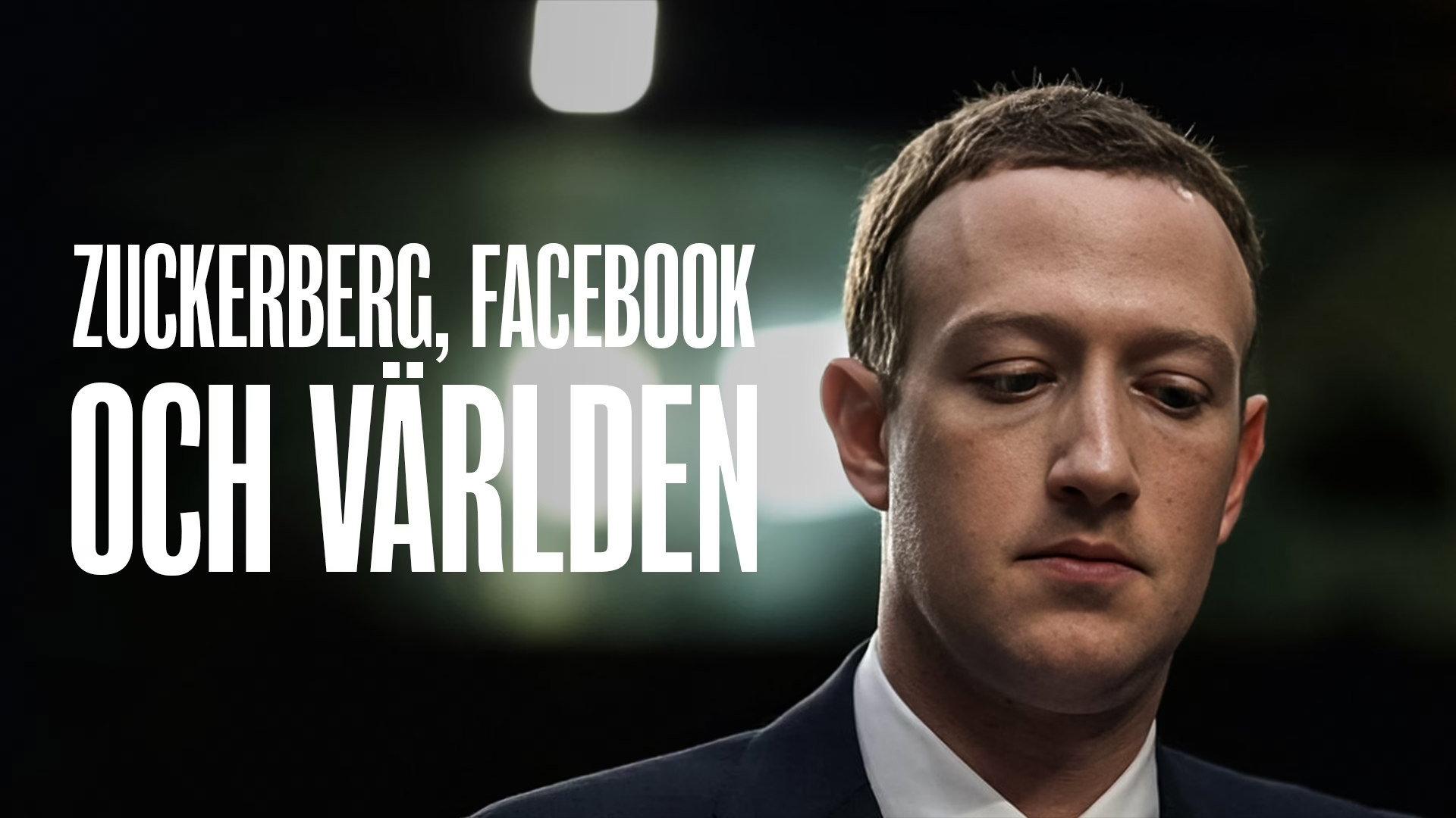 Inside Zuckerberg's Meta-Brain