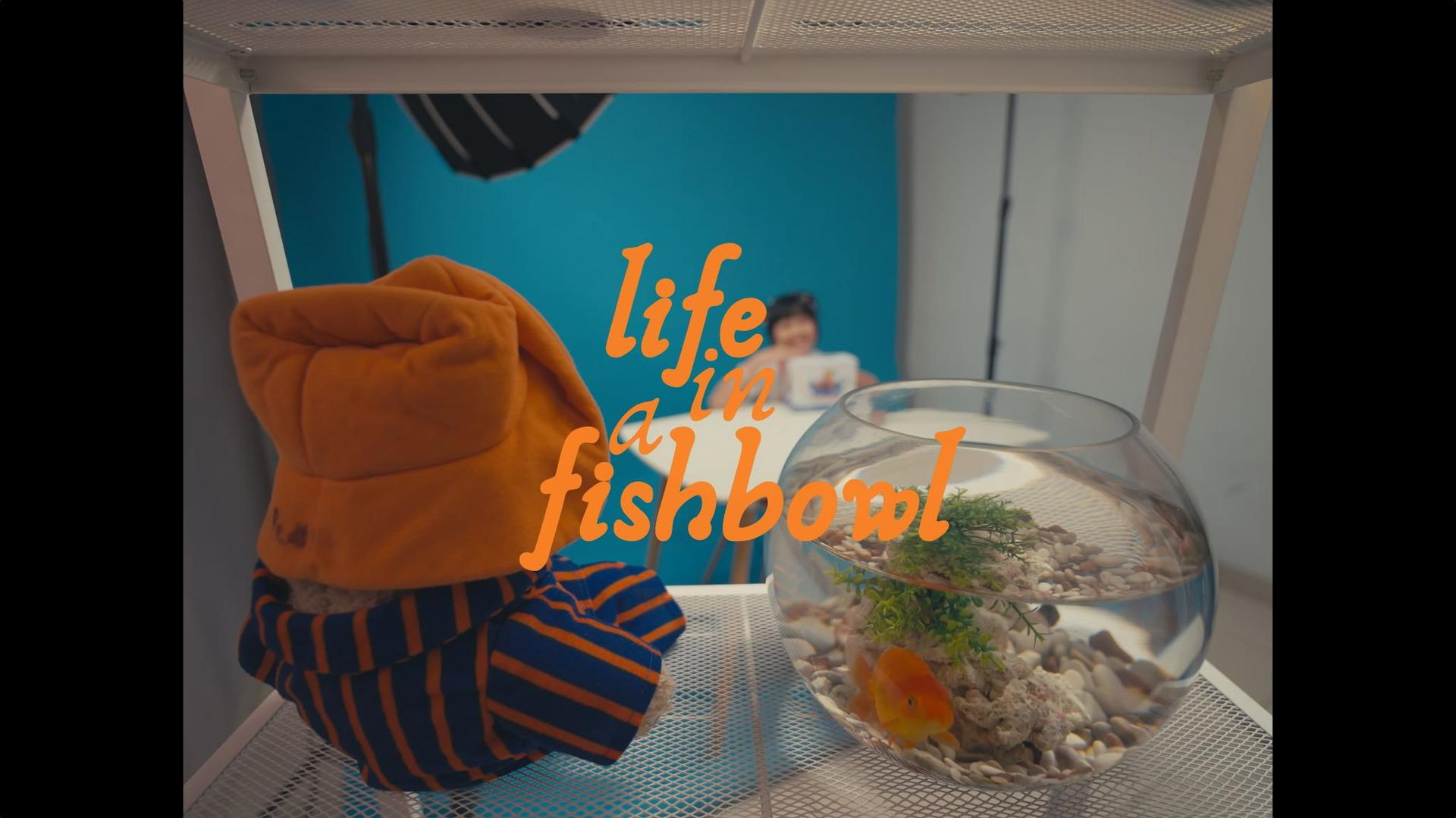 Life in a Fishbowl