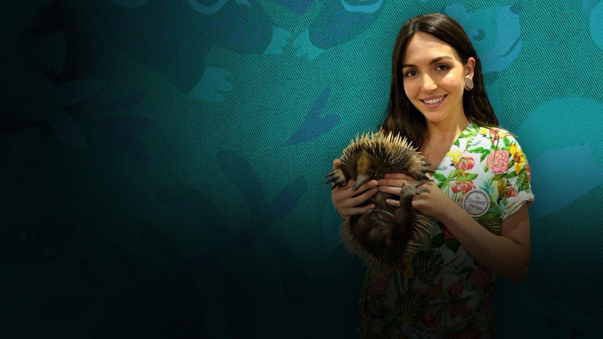 The Bizarre Pet Vets