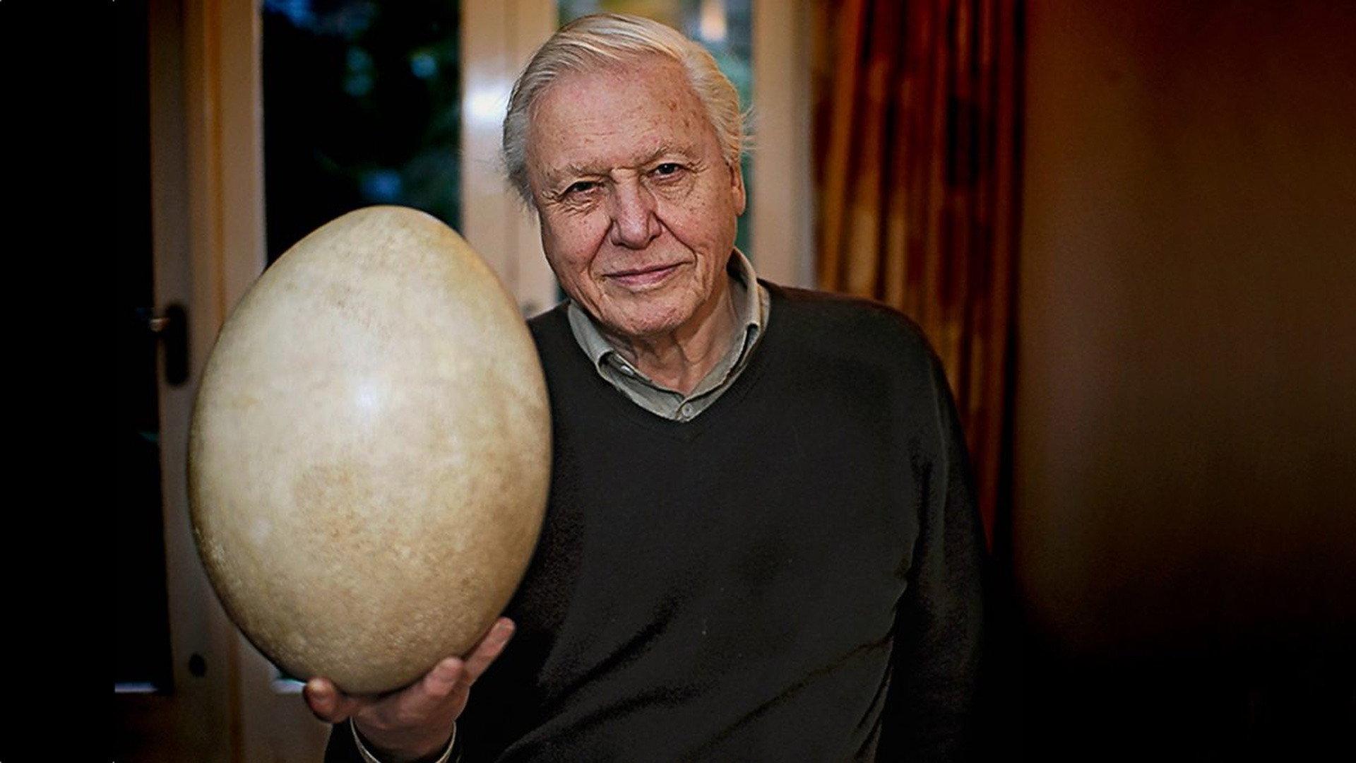 Attenborough and the Giant Egg