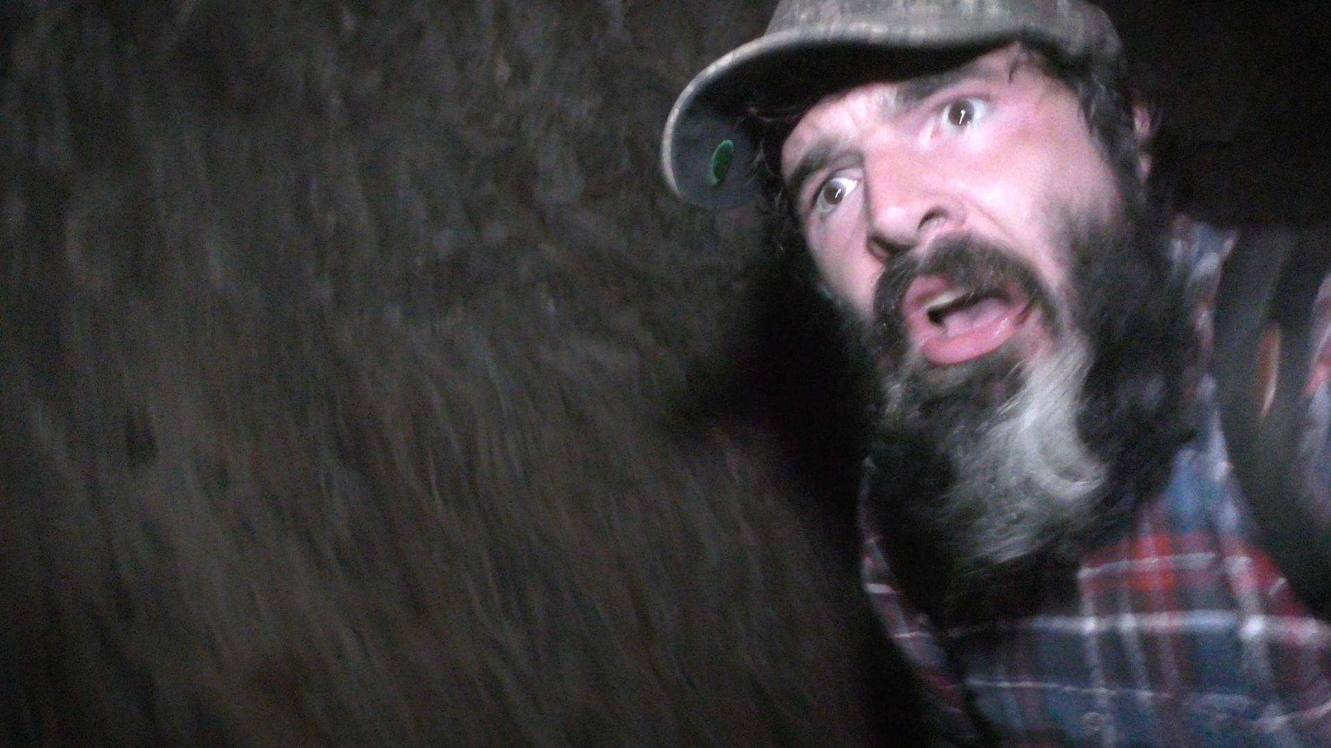 Wilderness Tapes: Volume One