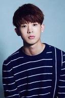 Lin Tinghan