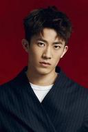 Zhang Kaitai