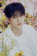 Kim Min-gyu