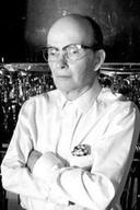 Louis Wilson