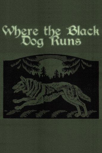 Where the Black Dog Runs