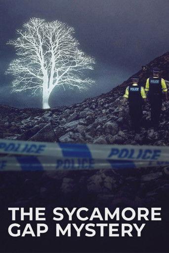 The Sycamore Gap Mystery