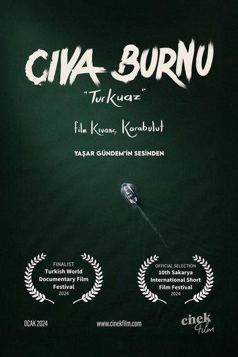 Cıva Burnu "Turkuaz"