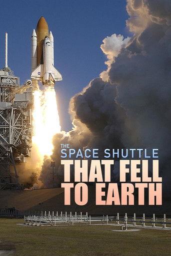 The Space Shuttle That Fell to Earth
