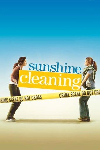 Sunshine Cleaning